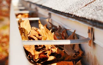 Airdrie gutter cleaning companies